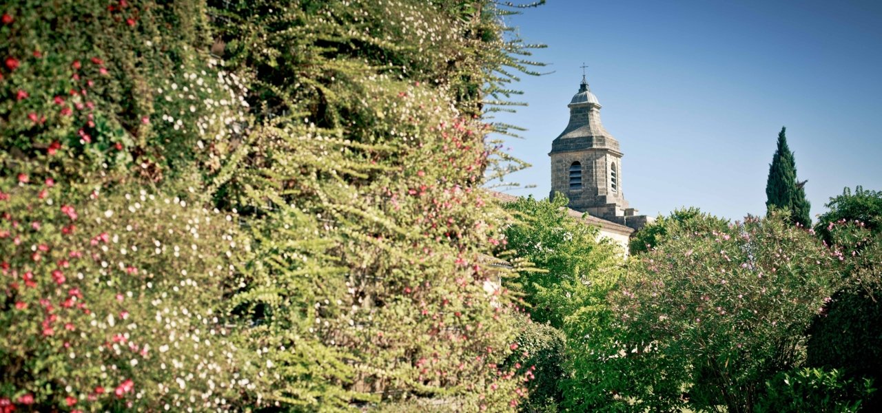 Outside with bushes and flowers - Wine Paths